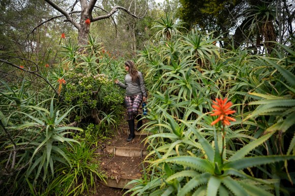 C enjoying Amir's Garden