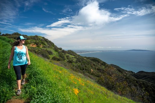 C walking SM Mountains Wildflowers