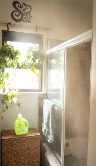 Quarantine Detergent